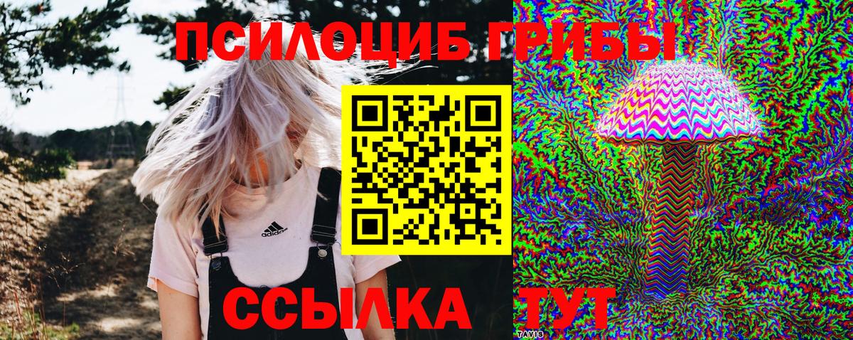 Галлюциногенные грибы ЛСД Семилуки