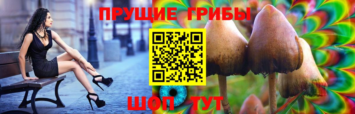 Семилуки  Галлюциногенные грибы Psilocybe  Галлюциногенные грибы Psilocybe  Вход с VPN 